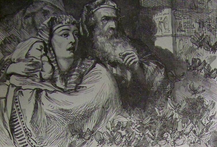 Восьмая египетская казнь Восьмая египетская казнь