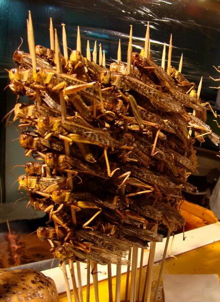 Шашлык из саранчи в Пекине Шашлык из саранчи в Пекине