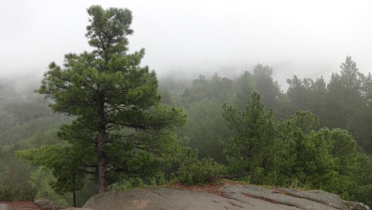 Чем интересен Красноярск? Топ-10 мест для любопытного туриста Чем интересен Красноярск? Топ-10 мест для любопытного туриста