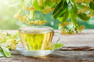 Как правильно собирать цветки липы и готовить целебный липовый чай?
