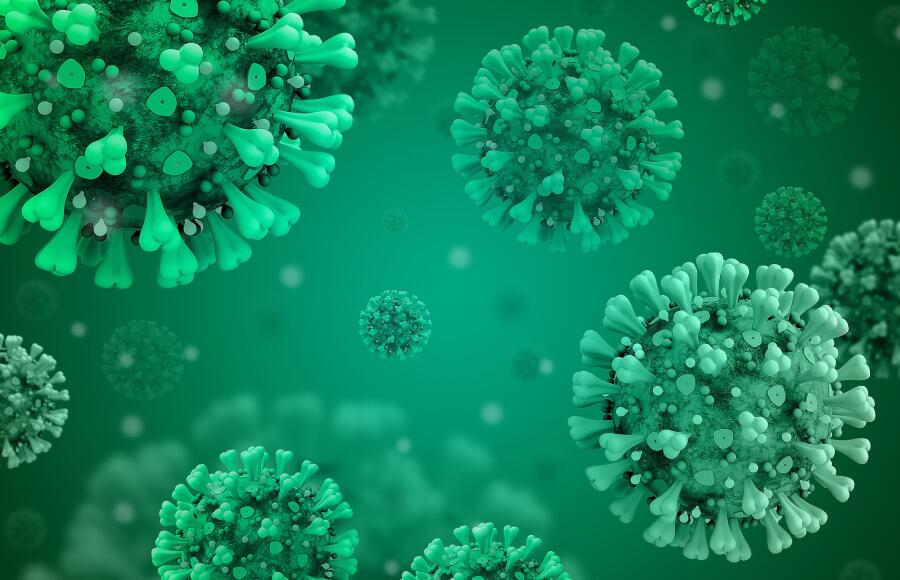Можно ли утверждать, что к коронавирусу выработался коллективный иммунитет?