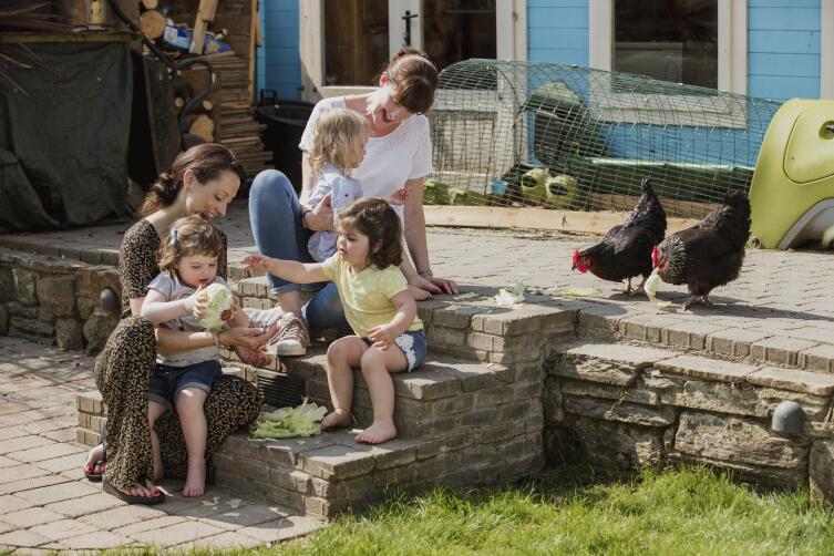 Как наладить каскадное кормление в личном подсобном хозяйстве?