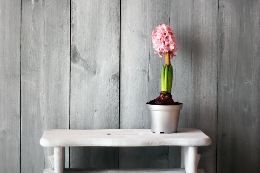 Чужая душа - потёмки? Часть 2