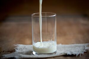 Какое молоко бывает в природе? Пять удивительных фактов