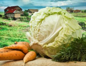 Как сохранить 90% выращенного урожая? Морковь и капуста