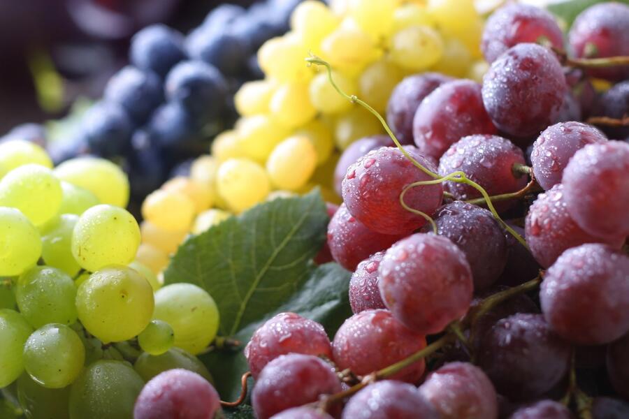 Как применять виноград и изюм, чтобы получить огромную пользу?