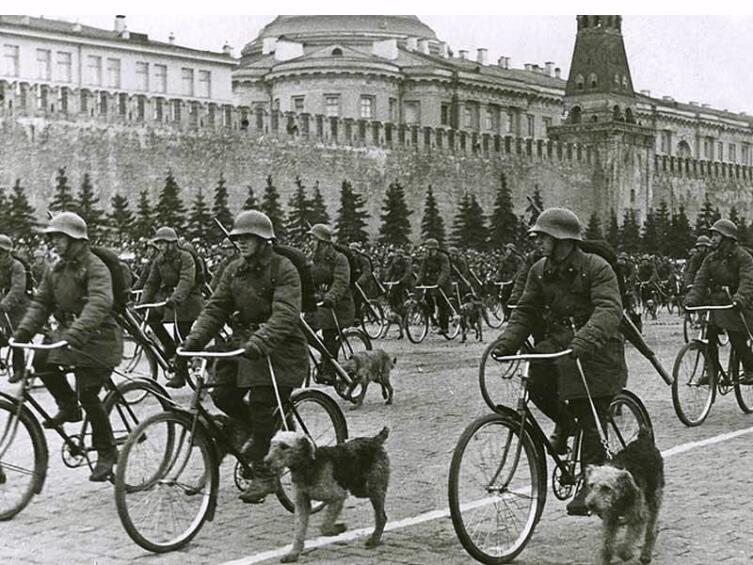 Велосипедные военные собаководы. Парад 1 мая 1938 г.