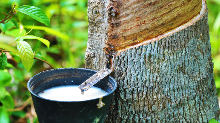 Из чего делают резину?