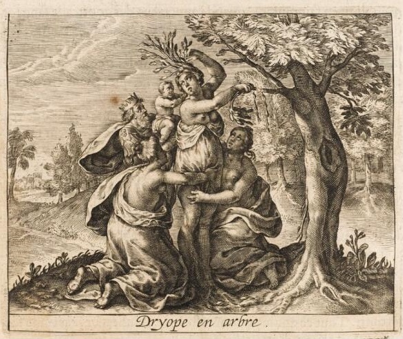 «Превращение Дриопы в дерево». Гравюра G. Mattei для французского издания «Метаморфоз» Овидия, 1651 г.