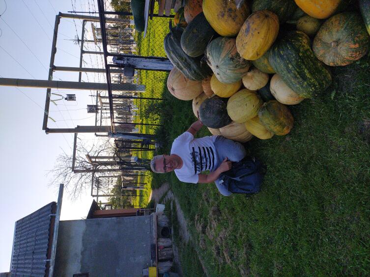 В гостях у кума В гостях у кума