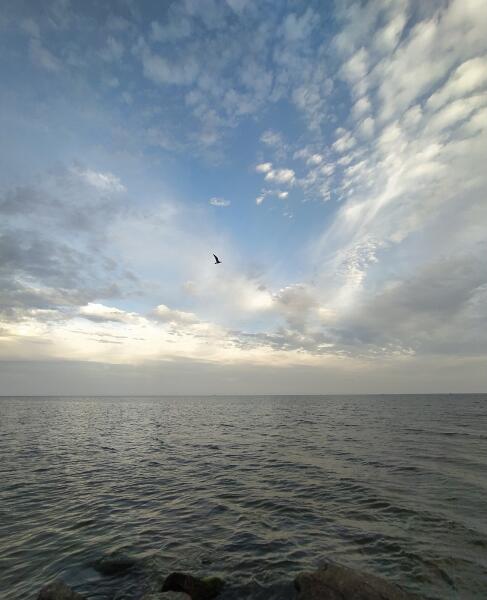 Затока, дикий пляж, море Затока, дикий пляж, море