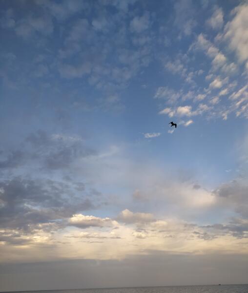 Затока, дикий пляж, море Затока, дикий пляж, море