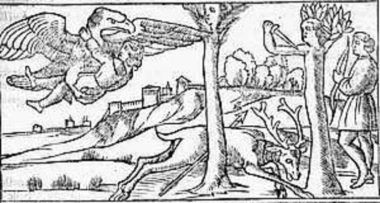 Николо из Агостини, иллюстрация к «Метаморфозам» Овидия, «Зевс, Ганимед, Аполлон, Кипарис», 1522 г.