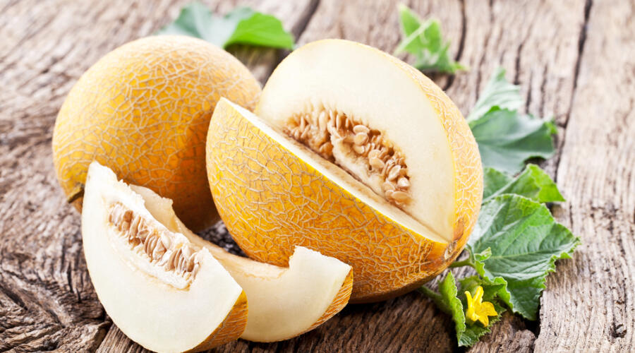 Чем болеют дыни?