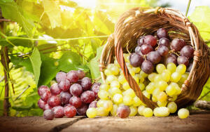 Какие вкусные и полезные лакомства можно приготовить из винограда?