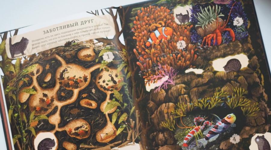 Книжное диво: 5 необычных детских книг