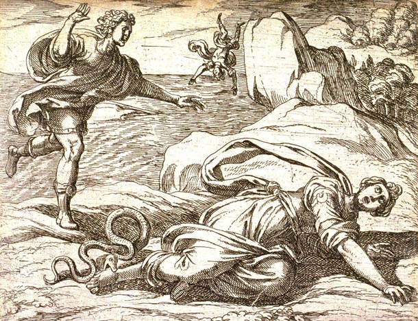 Антонио Темпеста, иллюстрация к «Метаморфозам» Овидия, «Нимфа Гесперия убегает от царевича Эсака», 1606 г.