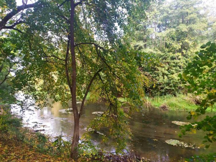 Путешествие по Беларуси. Чем интересен для туристов поселок Красный Берег? Путешествие по Беларуси. Чем интересен для туристов поселок Красный Берег?