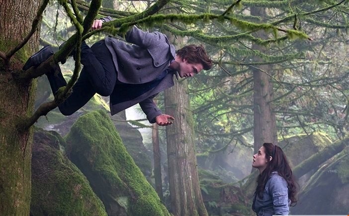 Кадр из к/ф «Сумерки», 2008 г.