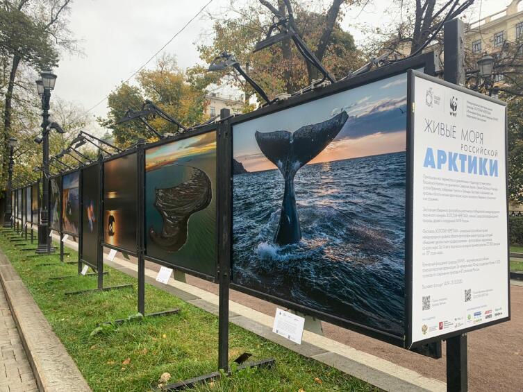 Уличная фотовыставка