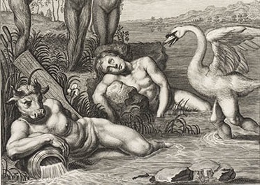 Бернар Пикар, иллюстрация к «Метаморфозам» Овидия, «Кикн, превращение в лебедя», фрагмент «Лебедь», 1733 г.