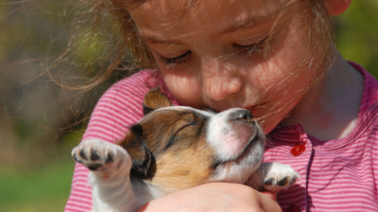 Как я в детстве завел себе собаку?