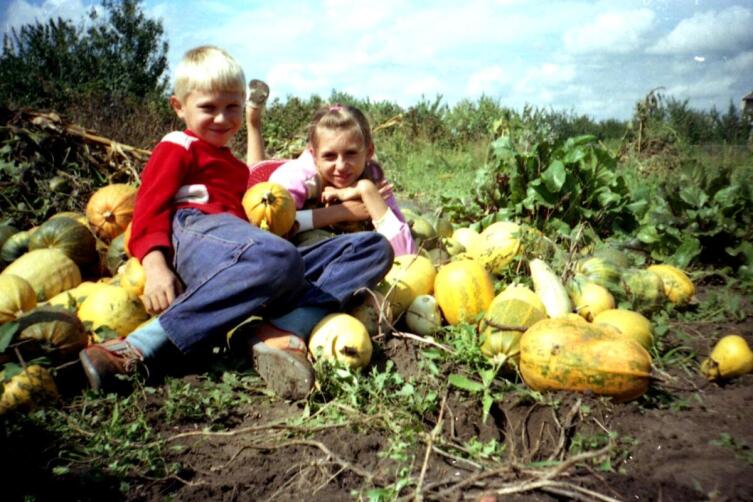 Дети на даче помогают убирать урожай. 1992 г.