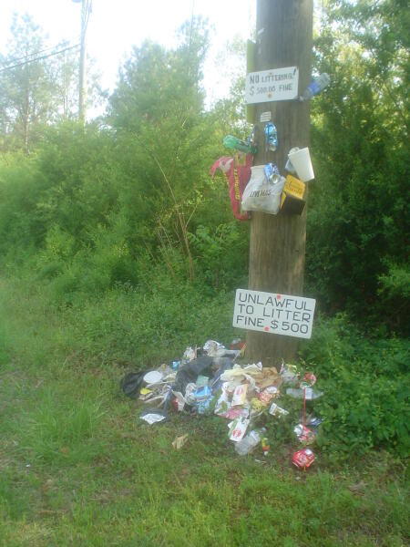 Какие бывают чаевые?