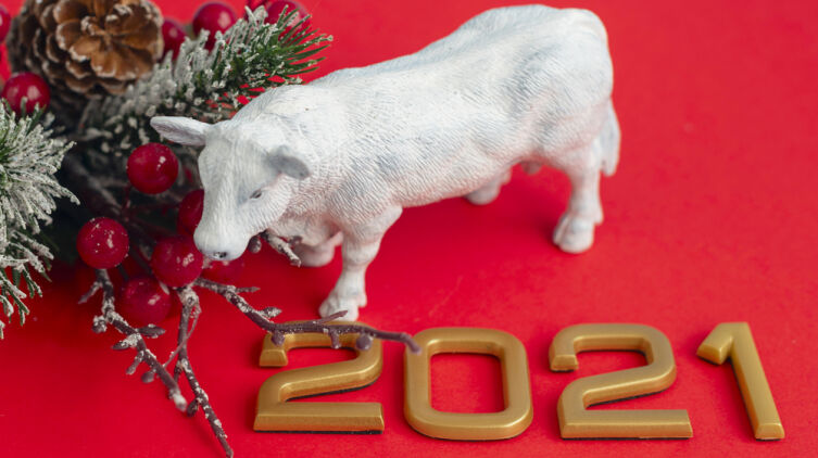 Что мы знаем о восточном календаре?