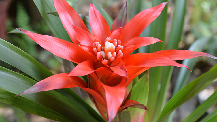 Что подарить своему дому в день Николая чудотворца?