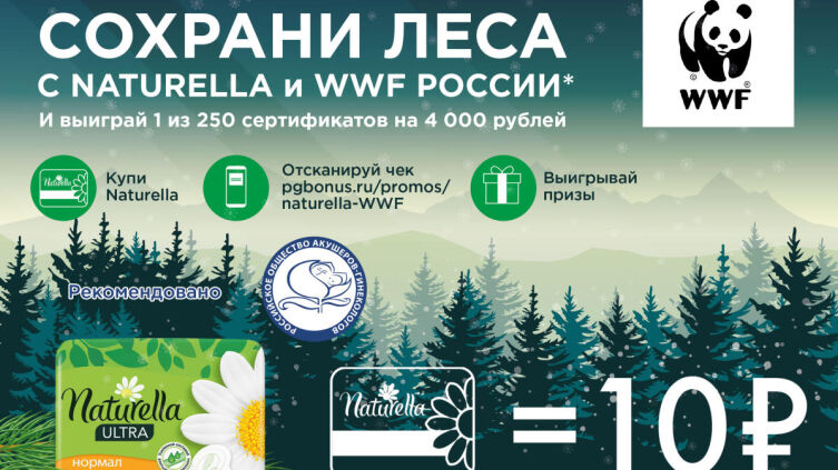 Naturella и WWF России сохраняют леса в национальном парке в Красноярском крае
