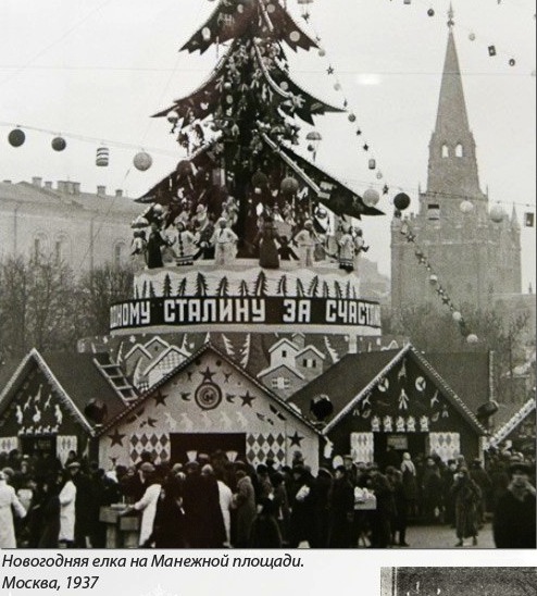 Какие тайны скрывает елка? Какие тайны скрывает елка?