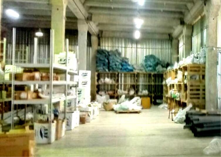 Крысиный король: существует ли он в реальности?