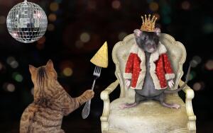 Крысиный король: существует ли он в реальности?