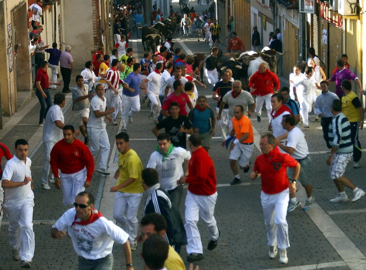 Час Быка-5. Что такое тавромахия?