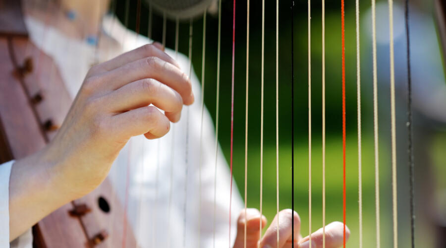 О чём поведала Песнь Цветов?