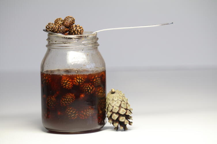 Народная медицина. Чем полезна пихта?