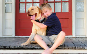 7 советов от экспертов: учим собаку командам