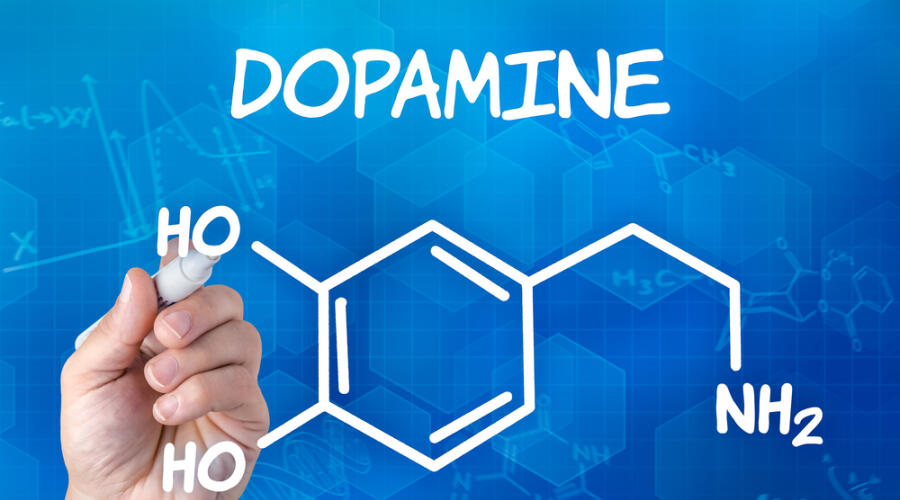 Помогает ли дофаминовое голодание получать от жизни больше удовольствия?