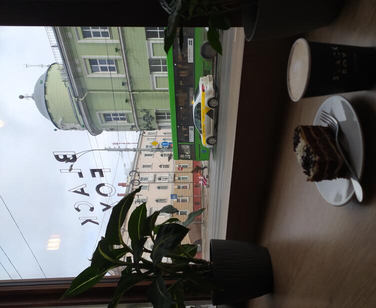 Каким бывает одиночество в Гомеле? Каким бывает одиночество в Гомеле?