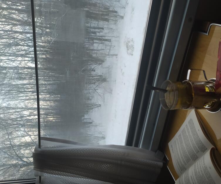 Каким бывает одиночество в Гомеле? Каким бывает одиночество в Гомеле?