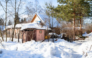 Календарь дачника. Чем заняться в декабре?