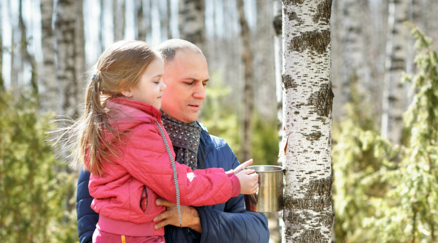 Чем купажировать березовый сок тому, кто страдает от сахарного диабета?