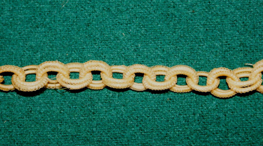 Тайна реликвии: зачем декабрист Повало-Швейковский плёл цепочку из конского волоса?