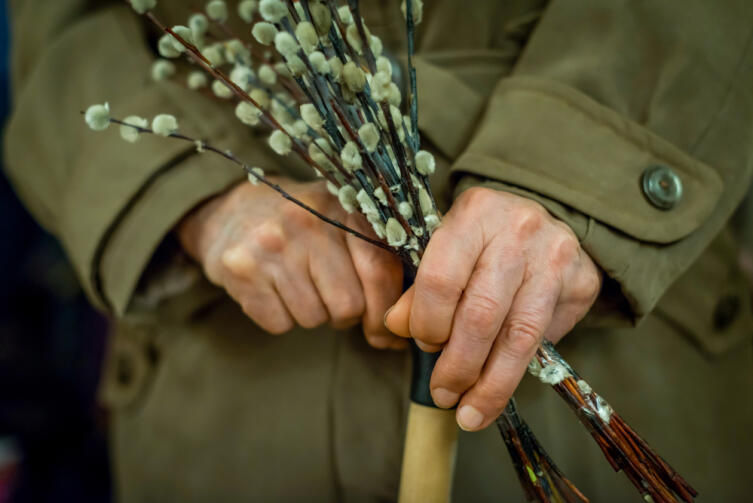 Вербные веточки применялись в старину как лекарство и как оберег от бед Вербные веточки применялись в старину как лекарство и как оберег от бед
