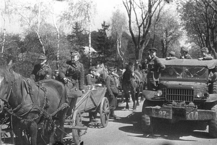 Солдаты вермахта с обозами сдаются в плен на косе Фрише-Нерунг войскам советского 3-го Белорусского фронта