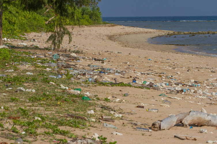 Куда уходит пластик из мирового океана?