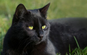 Чем же я всё-таки опасен? И когда?