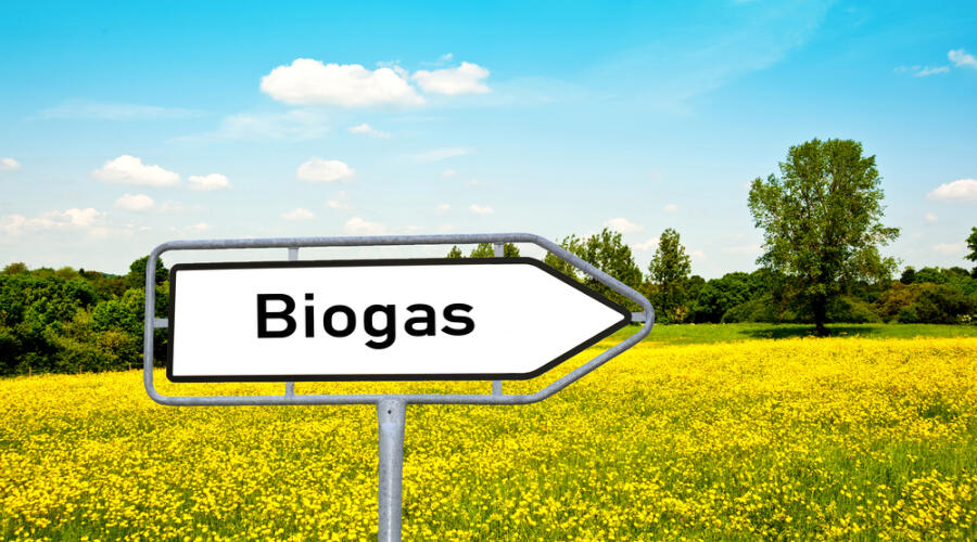 Что такое биогаз и как его получить?