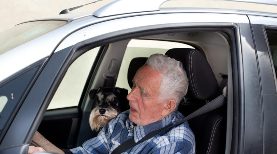 Запретят ли пенсионерам садиться за руль?